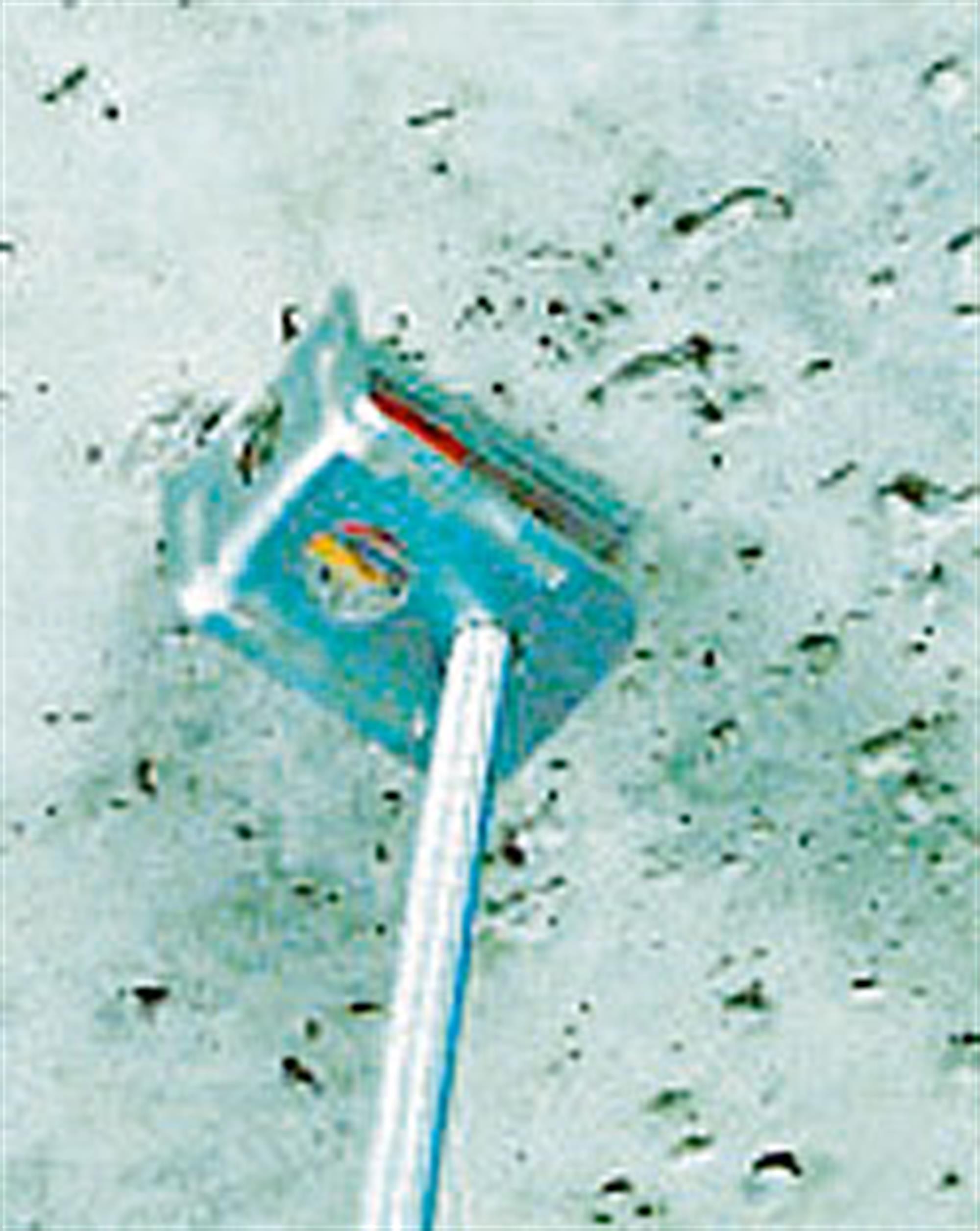 Staffa/clip/morsetto/supporto per fissaggio tubi (0)