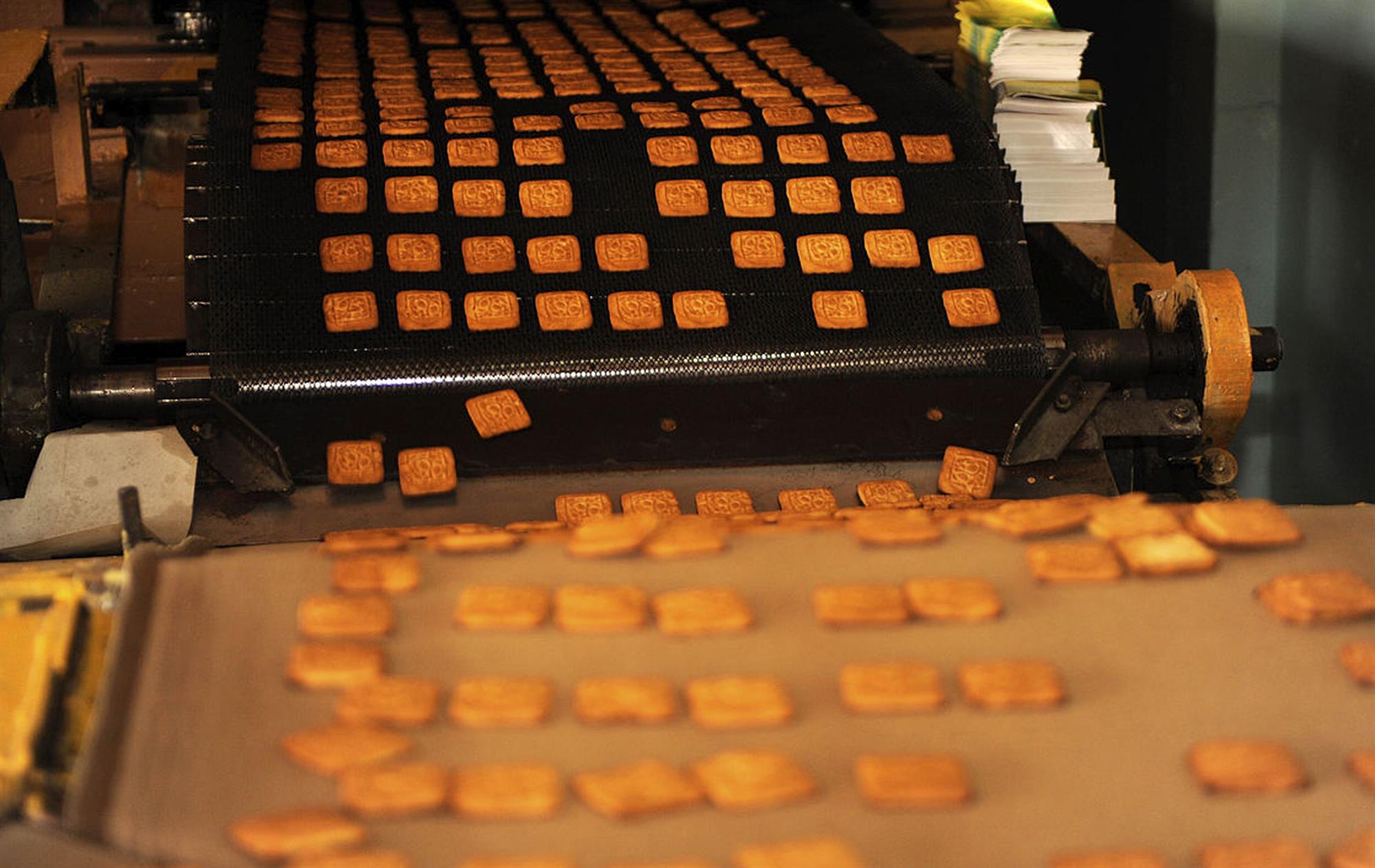 Fascetta per cavi (1)