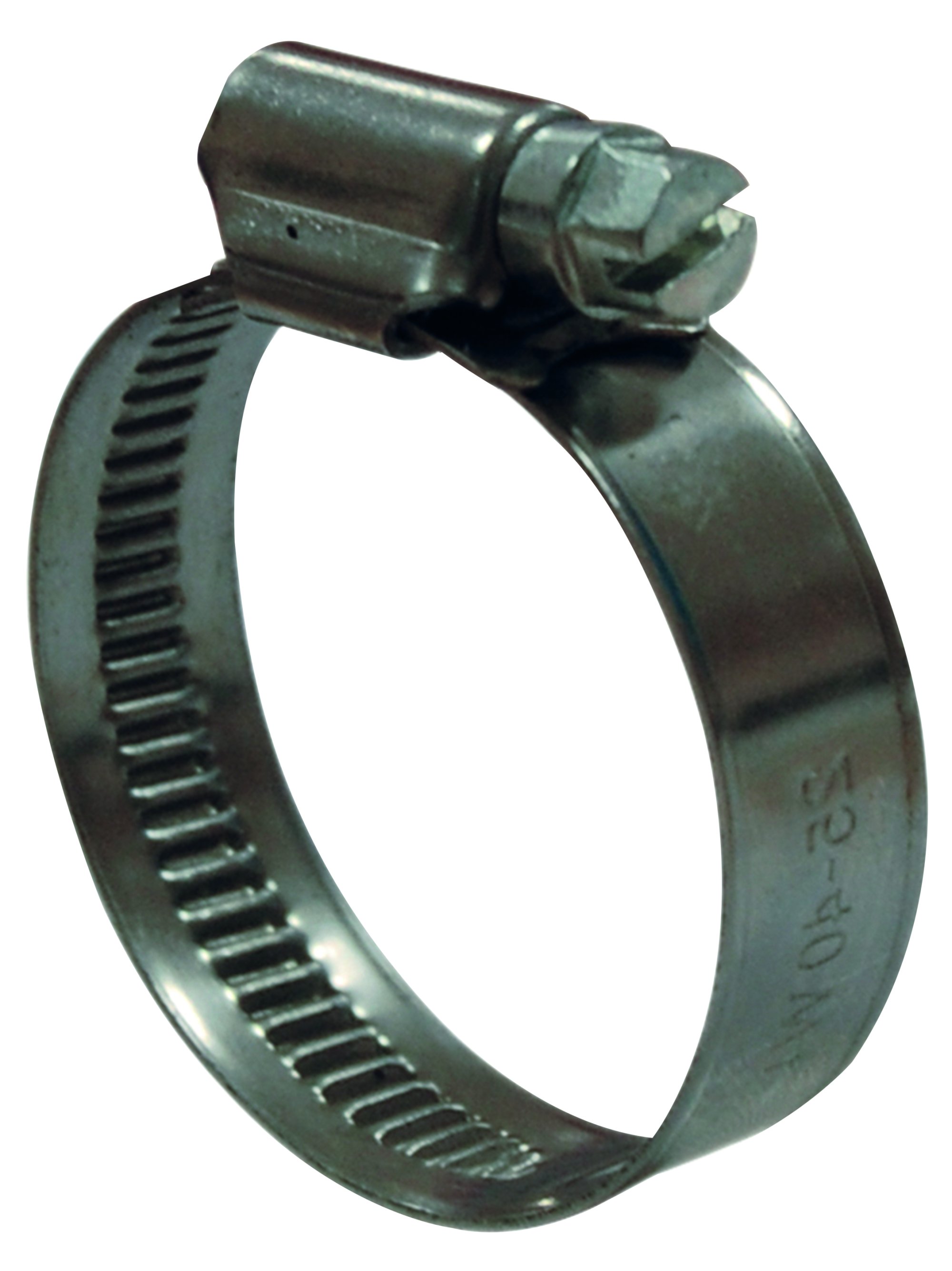 Collare/fascetta con vite di fissaggio per tubi flessibili (2)